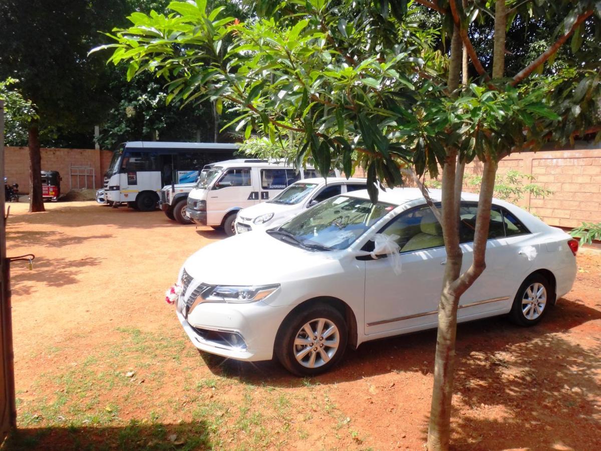 Honey Tree Polonnaruwa Hotel Buitenkant foto