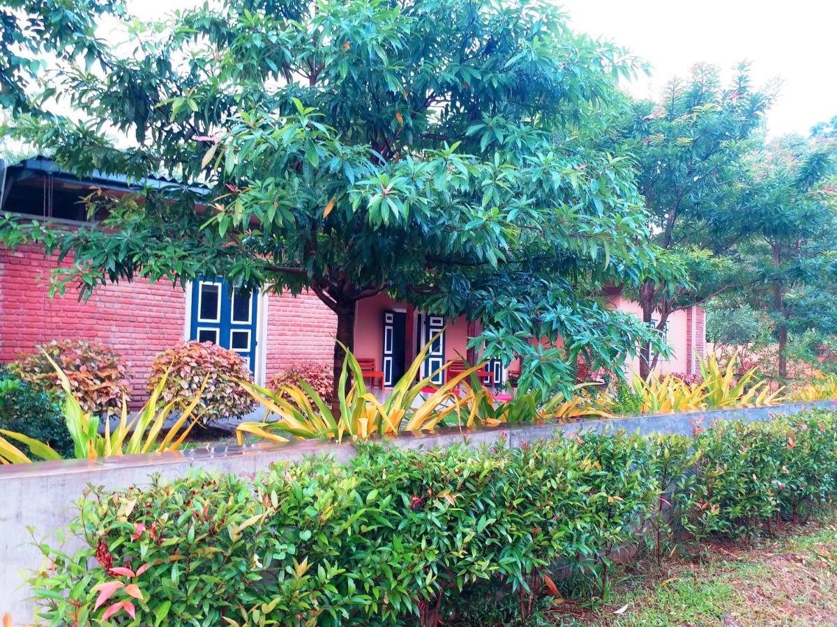 Honey Tree Polonnaruwa Hotel Buitenkant foto