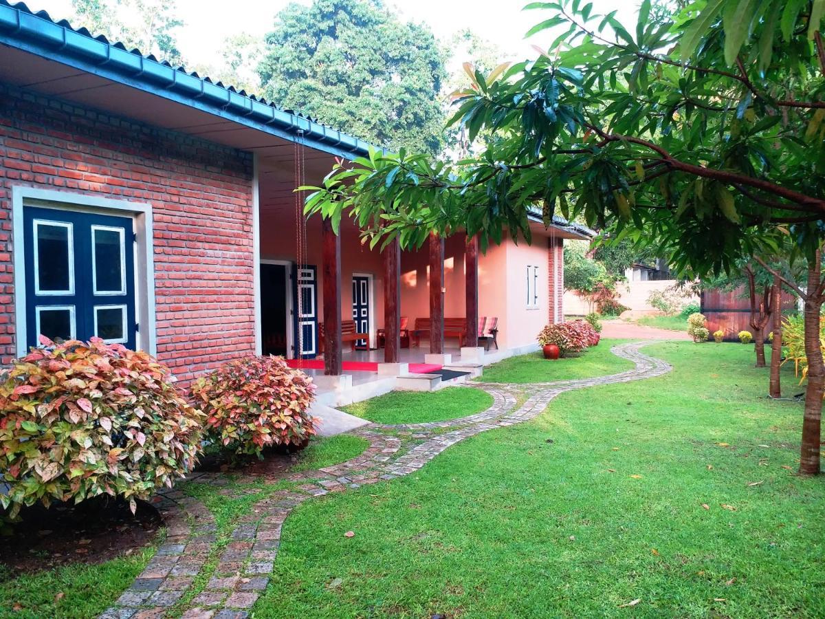 Honey Tree Polonnaruwa Hotel Buitenkant foto